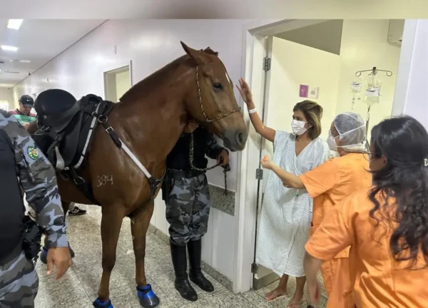 (Foto: reprodução)