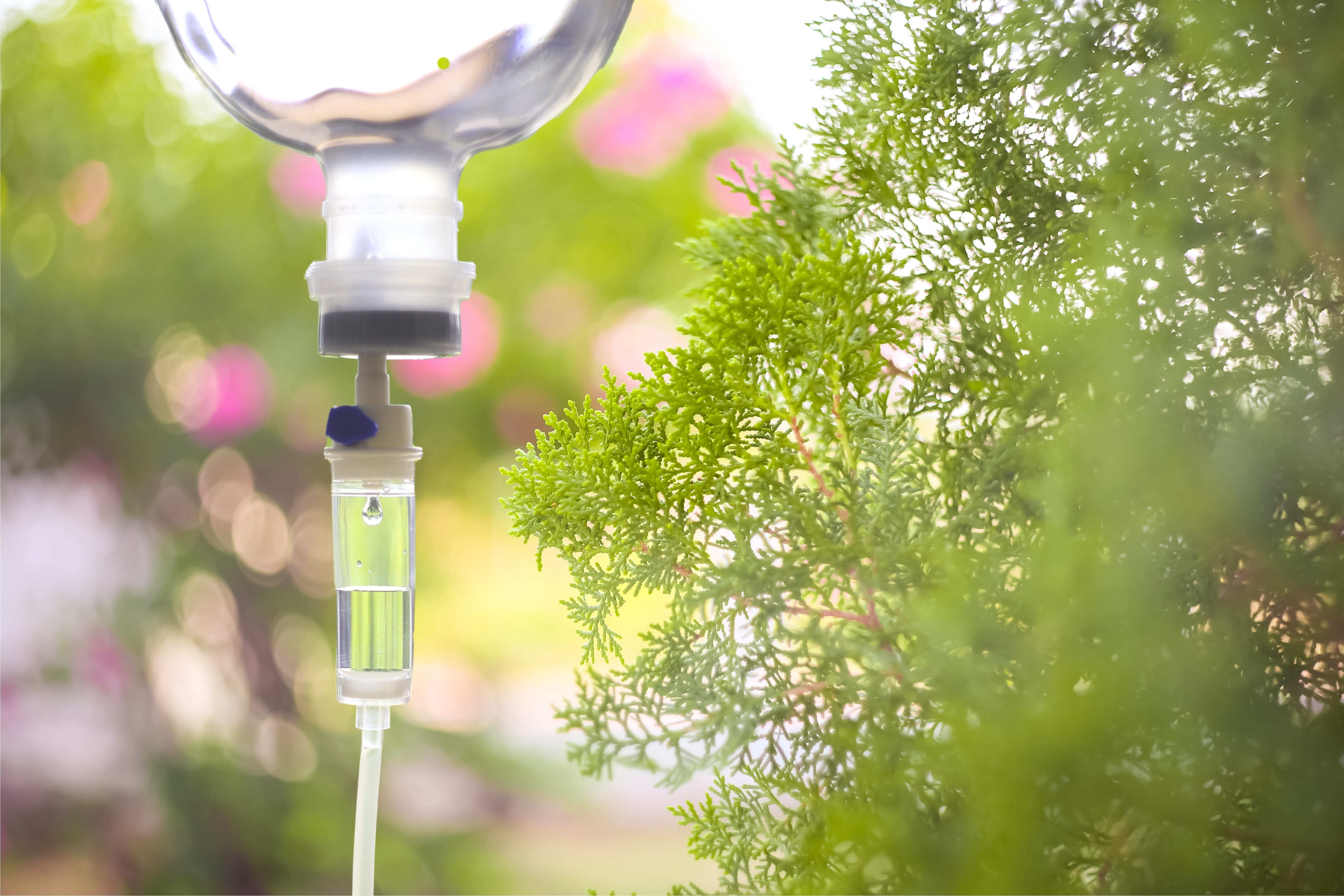 Soroterapia não tem benefícios comprovados para pessoas saudáveis e pode trazer riscos, alerta Anvisa — Foto: Adobe Stock
