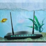 Se você tem animais aquáticos em casa, eles podem afetar a qualidade da conexão — Foto: BBC/Serenity Strull/Getty Images